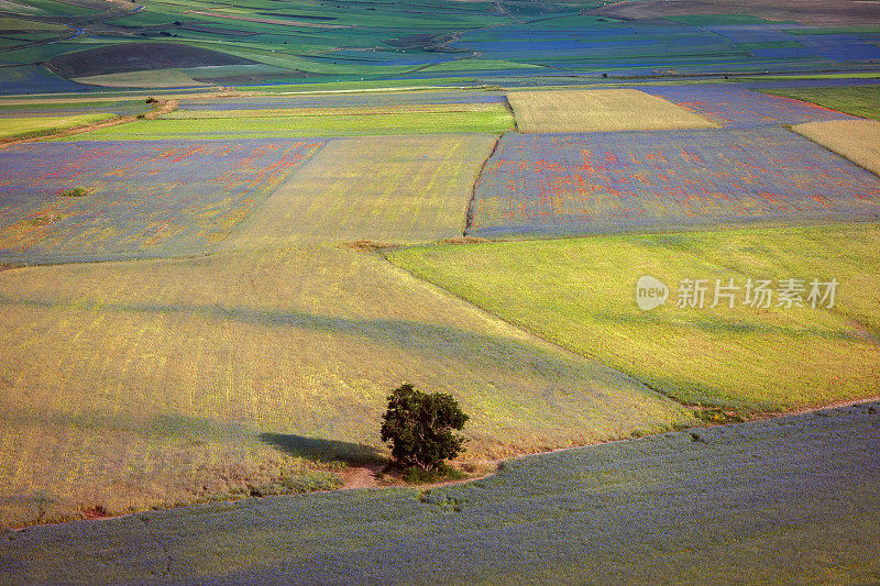 Piano Grande di Castelluccio，位于绿色山丘上的村庄，意大利